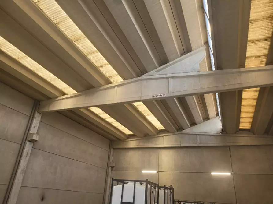 immagine annuncio 0 di 1