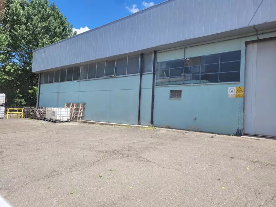 immagine annuncio 0 di 1