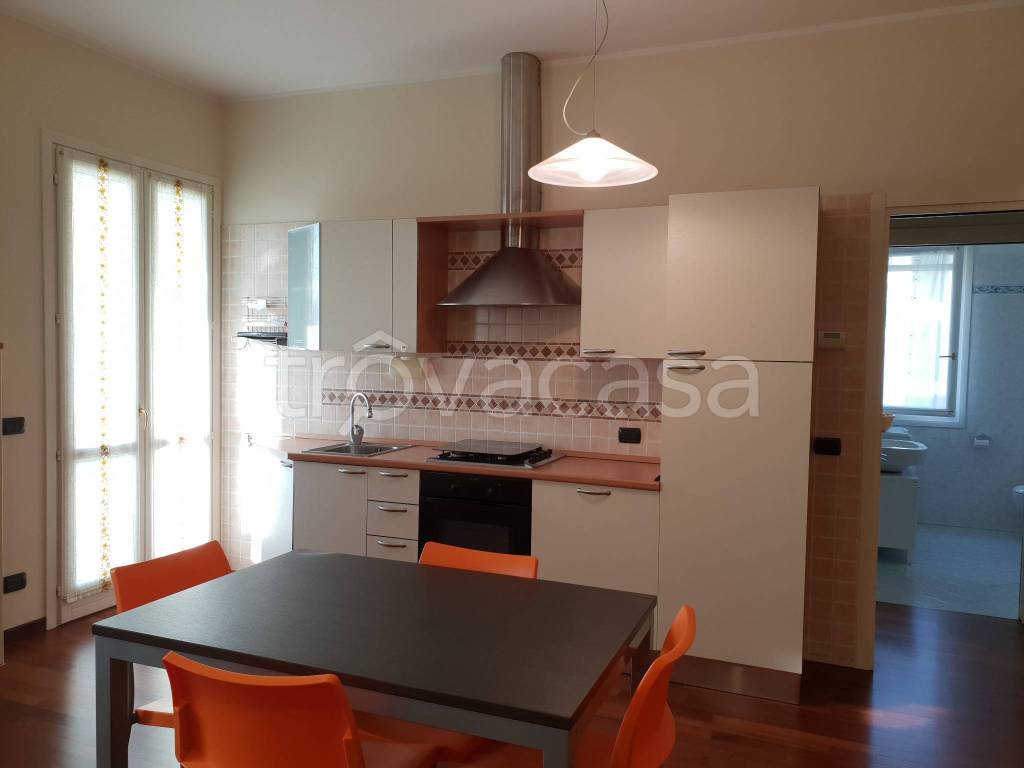 appartamento in affitto a Formigine