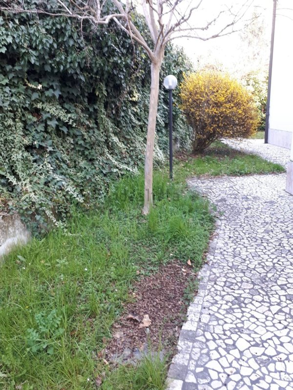 appartamento in affitto a Formigine