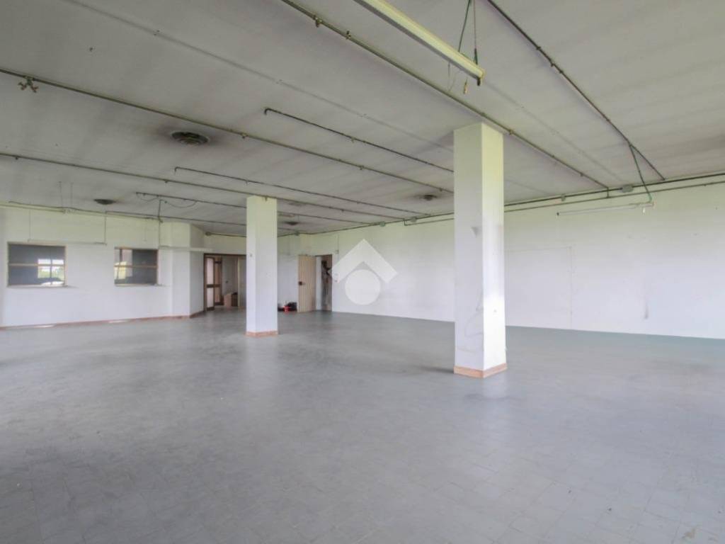 locale commerciale in affitto a Formigine