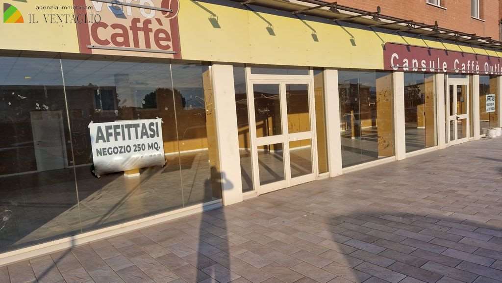 negozio in affitto a Formigine in zona Magreta