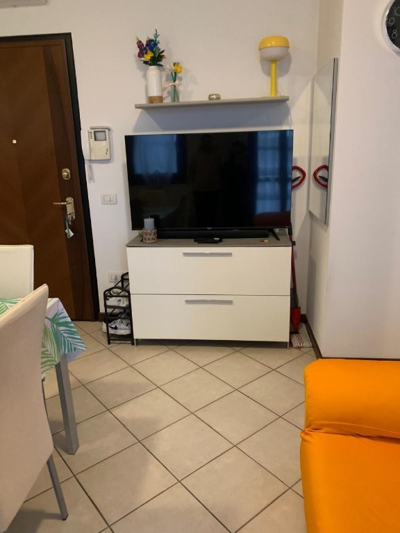 appartamento in affitto a Mirandola