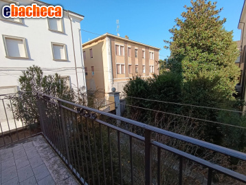 casa indipendente in affitto a Mirandola