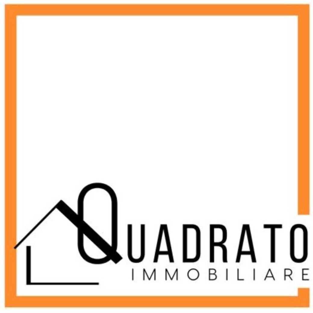 appartamento in affitto a Mirandola