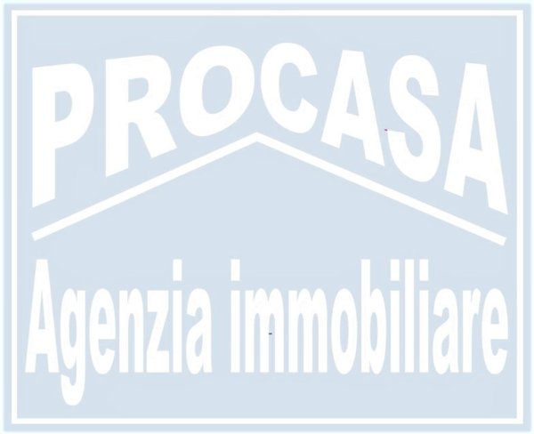 negozio in affitto a Mirandola