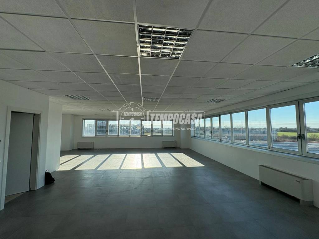 negozio in affitto a Mirandola