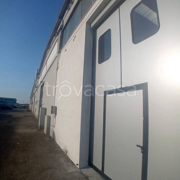 appartamento in affitto a Mirandola