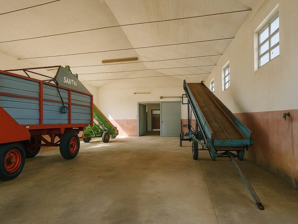 locale di sgombero in affitto a Mirandola