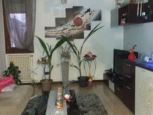 appartamento in affitto a Mirandola