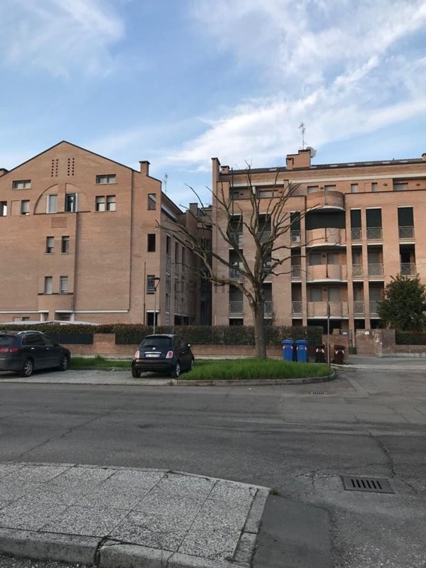 appartamento in affitto a Mirandola