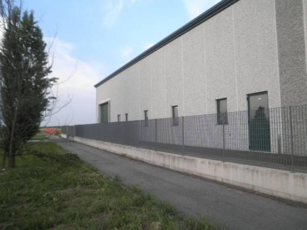 capannone in affitto a Modena in zona Madonnina / Quattro Ville