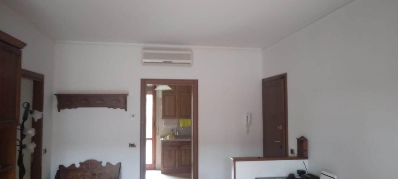 negozio in affitto a Modena