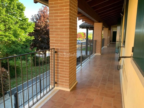 appartamento in affitto a Modena