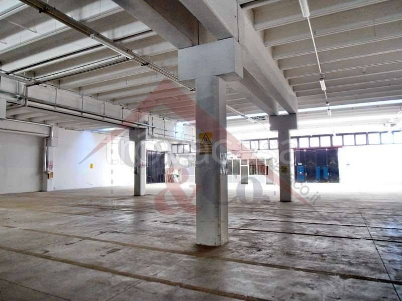 locale commerciale in affitto a Modena in zona Cittanova