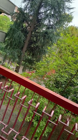 camera singola in affitto a Modena in zona Crocetta