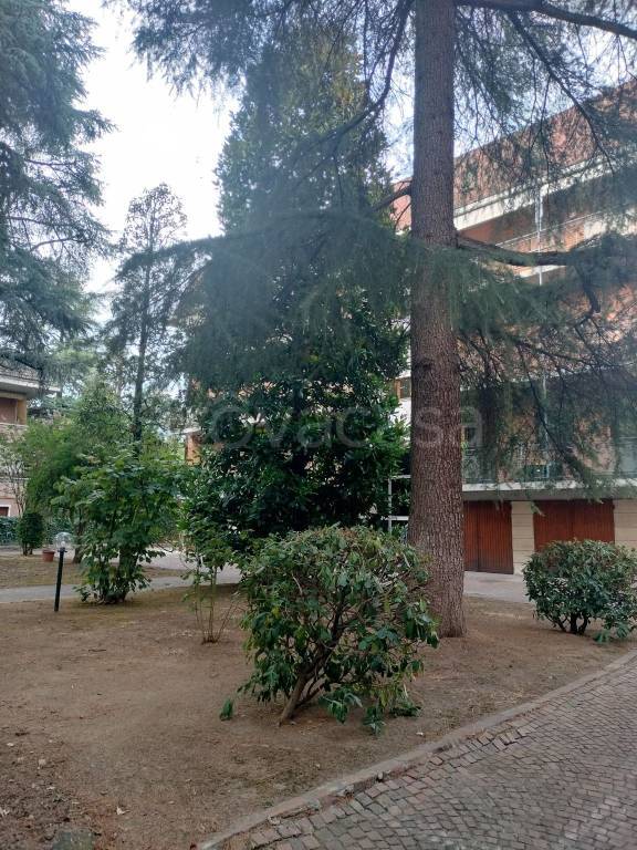 appartamento in affitto a Modena in zona Buon Pastore