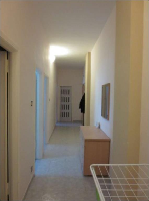 appartamento in affitto a Modena