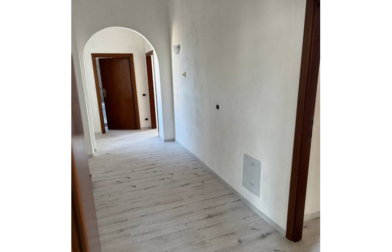 appartamento in affitto a Modena in zona Crocetta