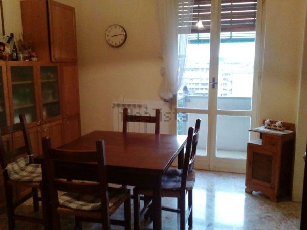 appartamento in affitto a Modena in zona Madonnina / Quattro Ville