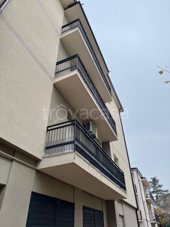 appartamento in affitto a Modena