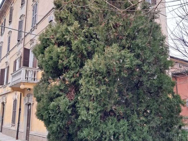 ufficio in affitto a Modena in zona Vaciglio