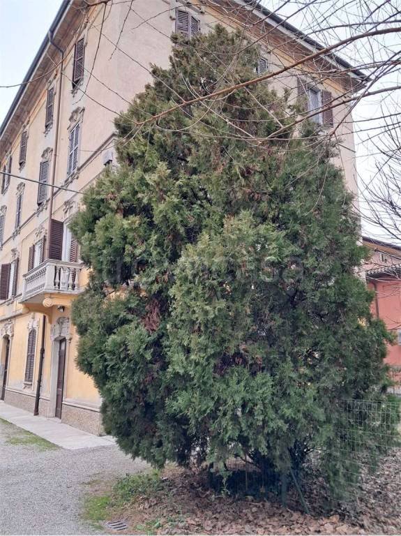 ufficio in affitto a Modena in zona Sant'Agnese