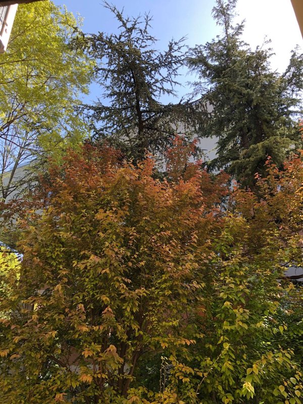 appartamento in affitto a Modena in zona Sant'Agnese