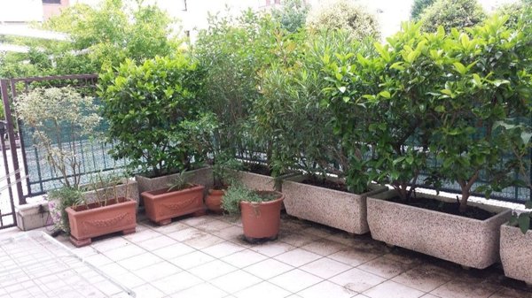 appartamento in affitto a Modena in zona San Faustino