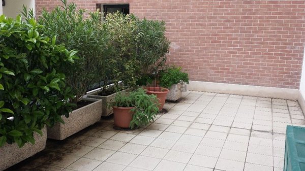 appartamento in affitto a Modena in zona San Faustino