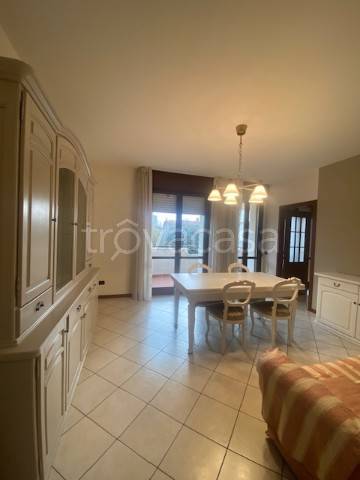 appartamento in affitto a Modena