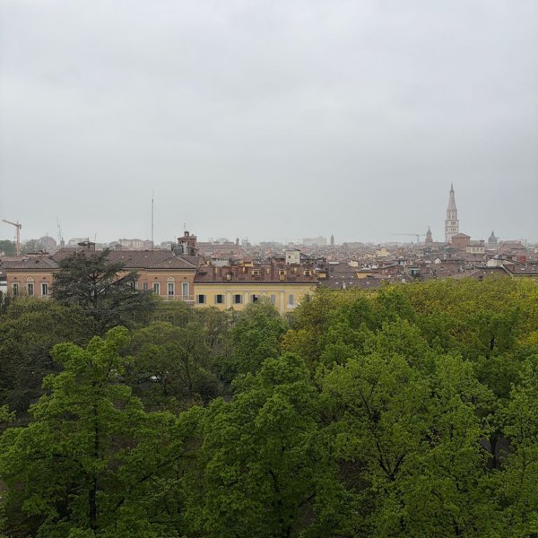 appartamento in affitto a Modena