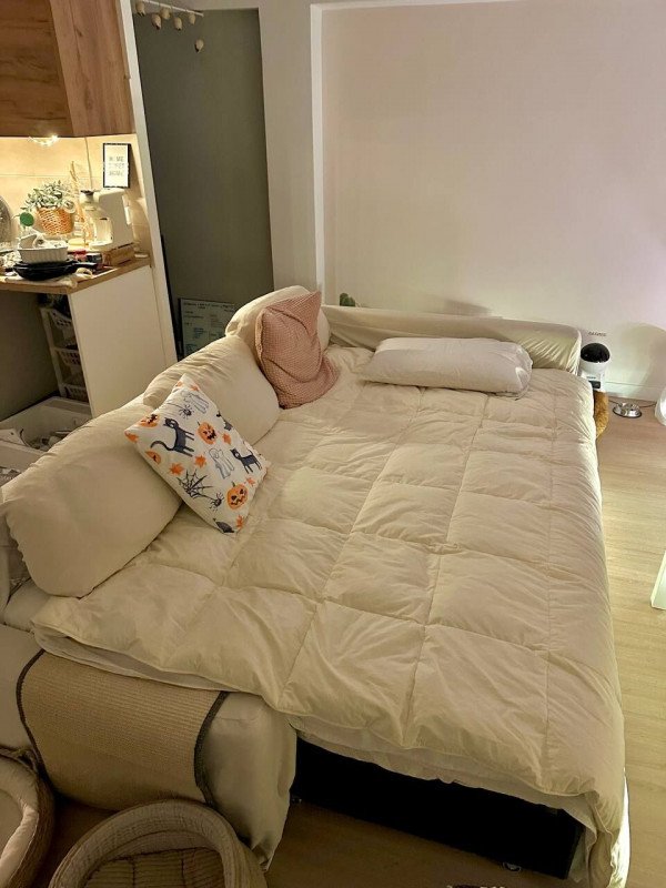 appartamento in affitto a Modena