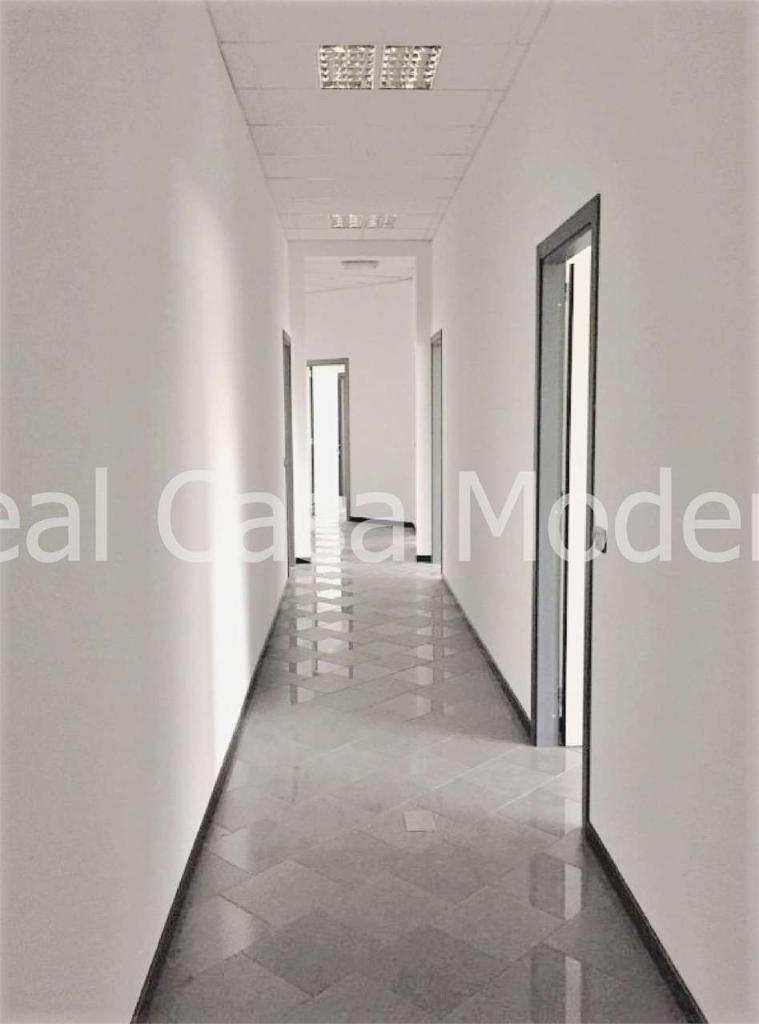 appartamento in affitto a Modena