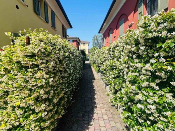 appartamento in affitto a Modena in zona San Lazzaro / Modena Est