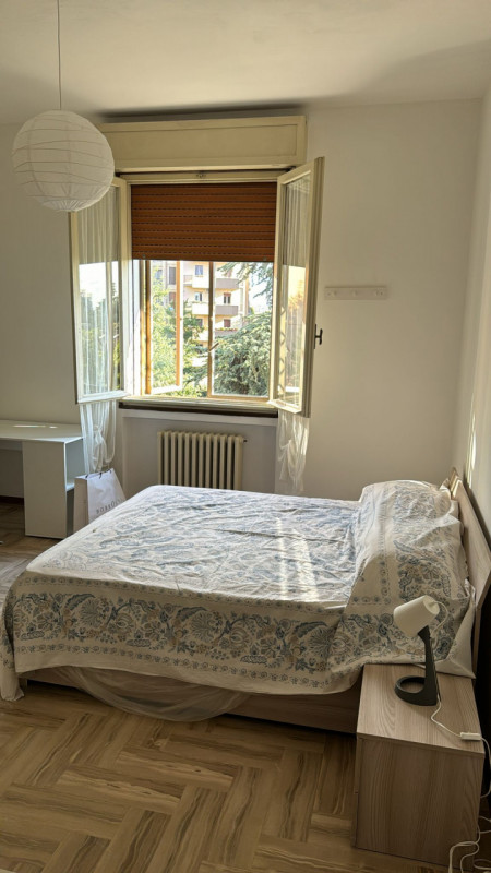appartamento in affitto a Modena