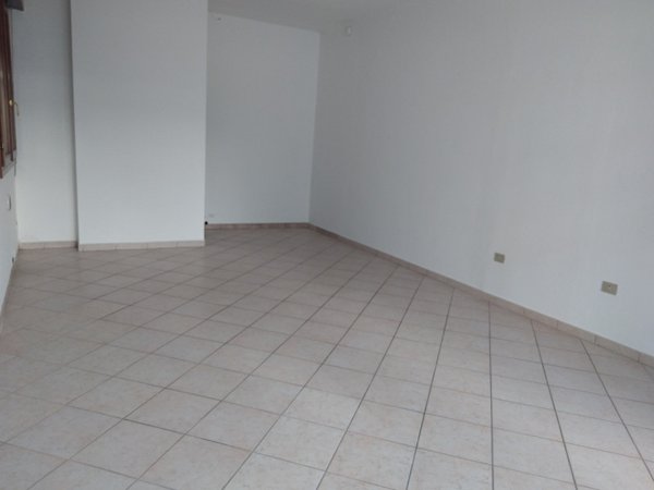 negozio in affitto a Novi di Modena