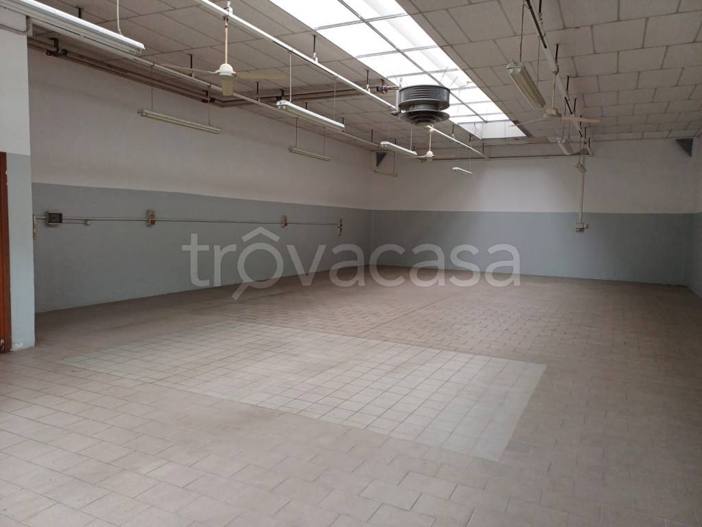 negozio in affitto a Novi di Modena