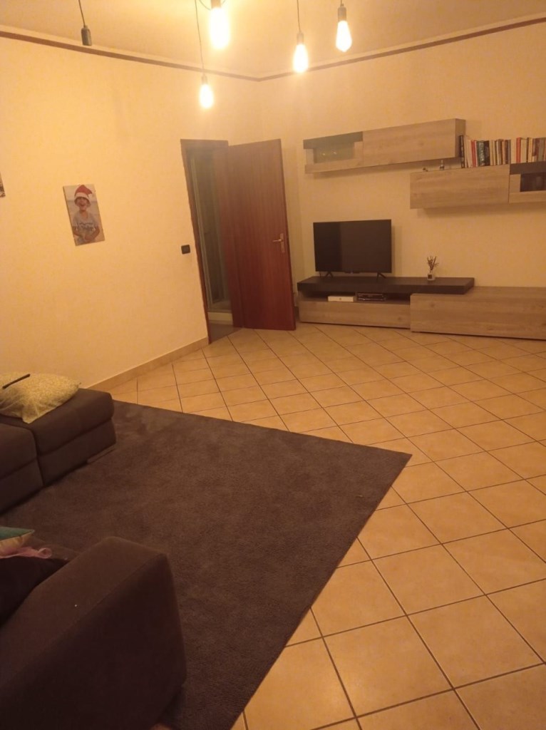 casa indipendente in affitto a Novi di Modena