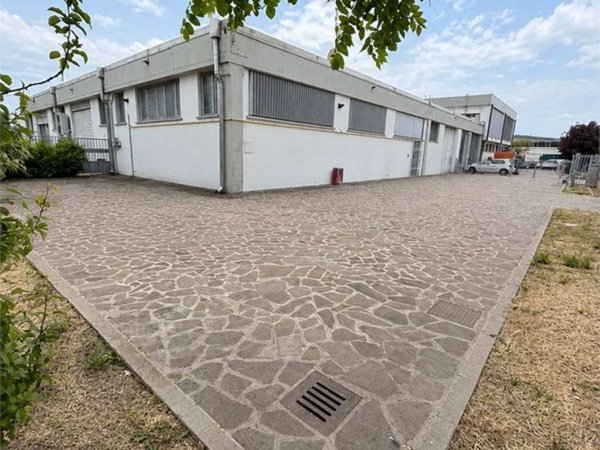 appartamento in affitto a Novi di Modena