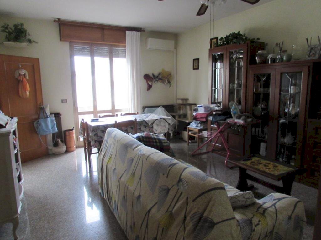 appartamento in affitto a San Cesario sul Panaro