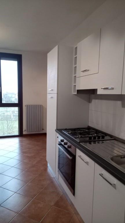 appartamento in affitto a San Felice sul Panaro