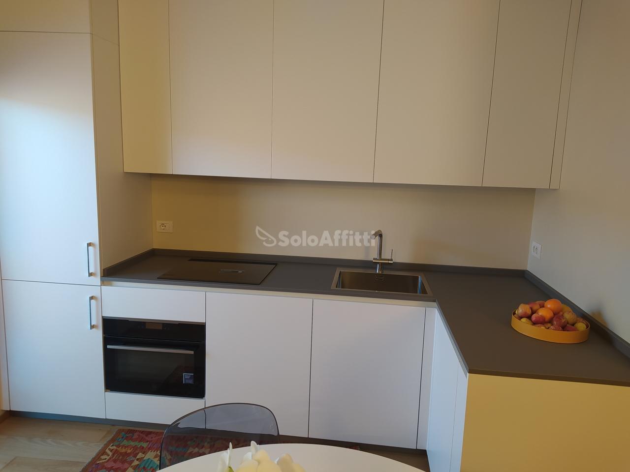 appartamento in affitto a Sassuolo