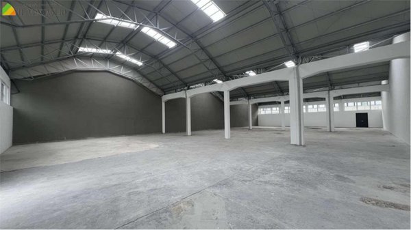 negozio in affitto a Sassuolo