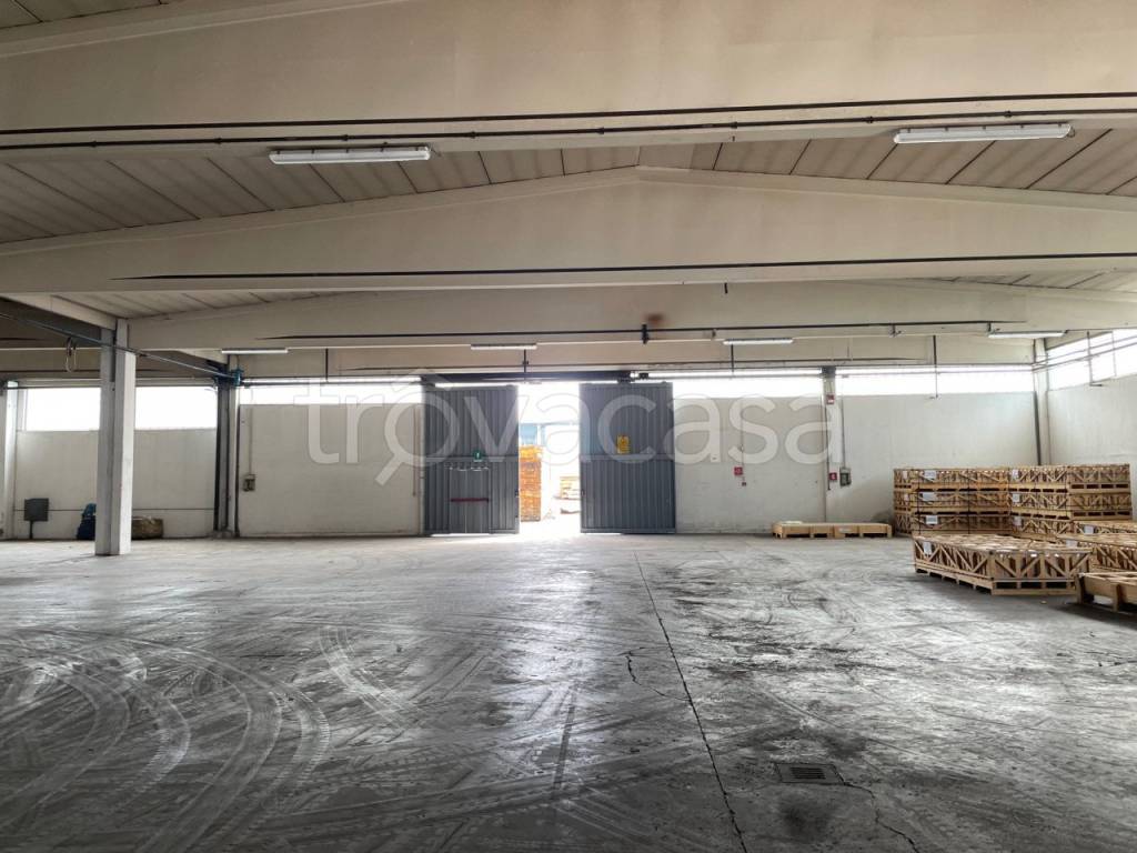 immagine annuncio 0 di 1