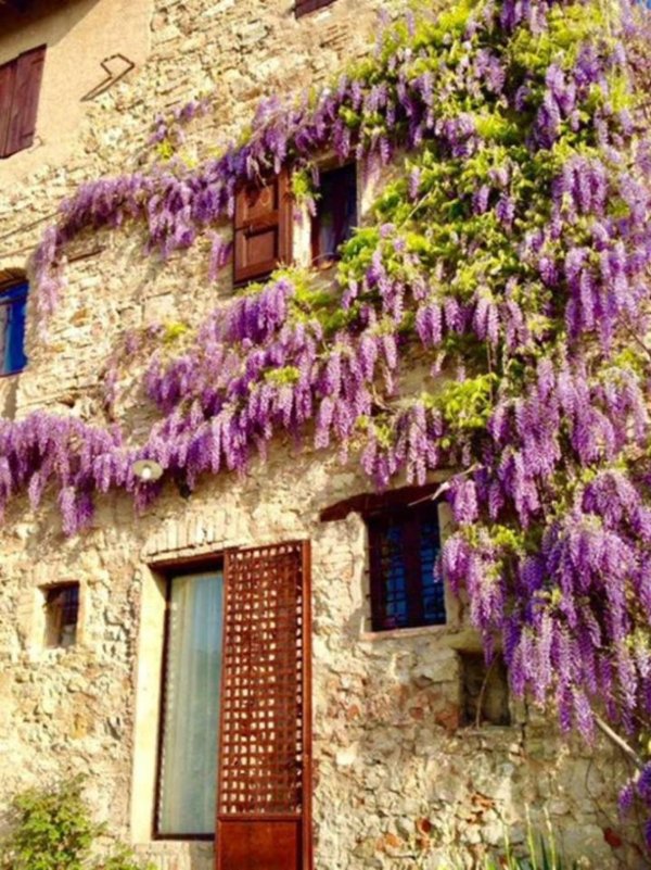 casa indipendente in affitto a Sassuolo in zona Montegibbio