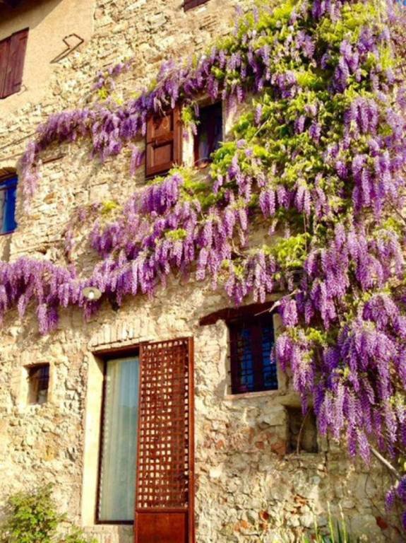 casa indipendente in affitto a Sassuolo in zona Montegibbio