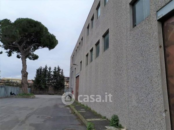 locale commerciale in affitto a Sassuolo