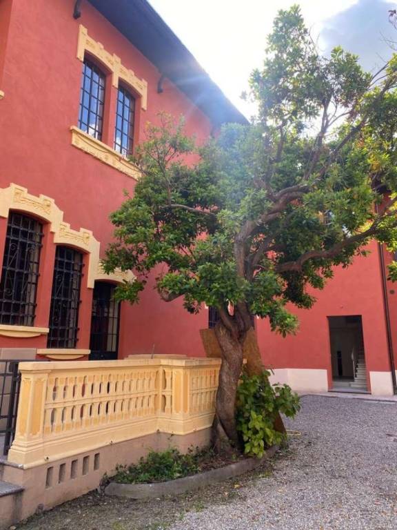 appartamento in affitto a Sassuolo in zona Centro Storico / San Giorgio