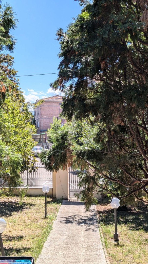 appartamento in affitto a Sassuolo